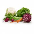 Fresh Vegetables