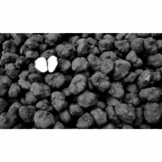 Singhara - سنگھاڑا  - 450 -...