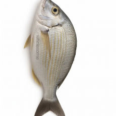 Goldlined Seabream (Kapartan) 1 kg...